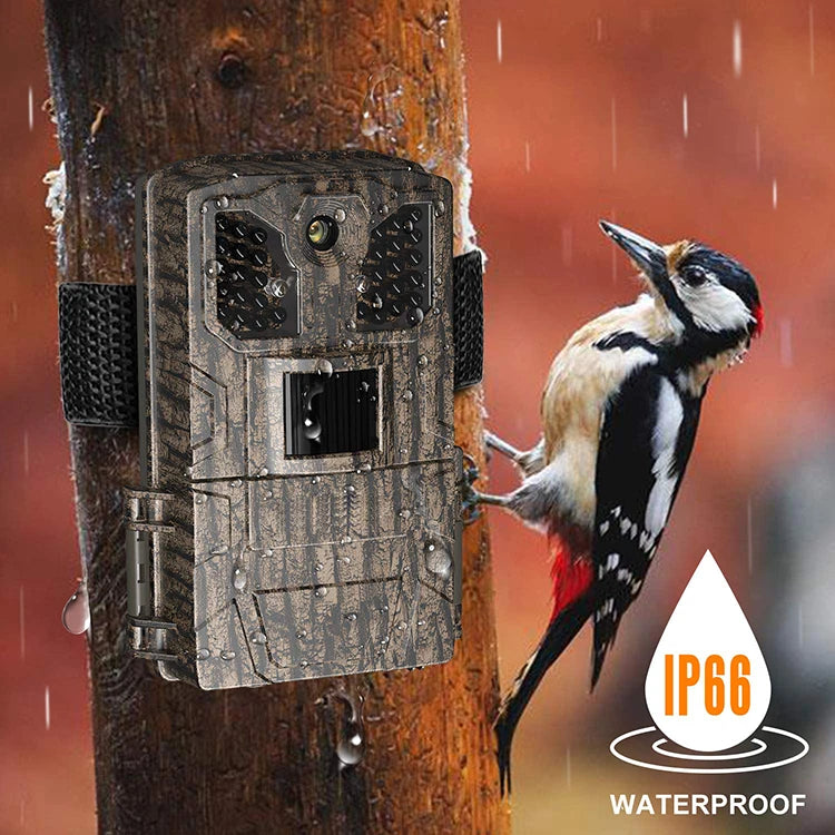 New High Quality Video Sending Motion Detection 1080P Hunting Camera