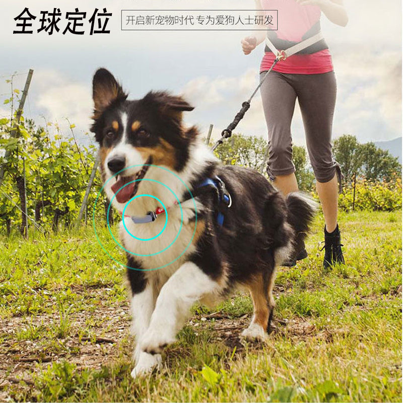 Pet Supplies Factory Oem Odm Best Quality Mini Tracker Tag for Pets