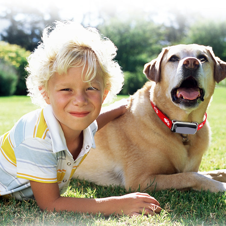 Pet Supplies Factory Oem Odm Best Quality Mini Tracker Tag for Pets
