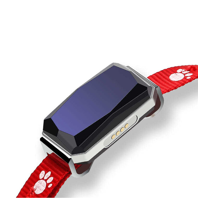 Pet Supplies Factory Oem Odm Best Quality Mini Tracker Tag for Pets