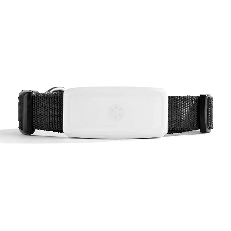 Realtime Mini GPS Pet Tracker Waterproof IP67 With 500mAh Battery